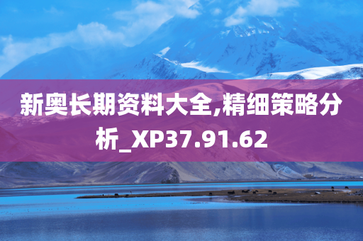 新奥长期资料大全,精细策略分析_XP37.91.62