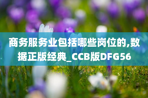 商务服务业包括哪些岗位的,数据正版经典_CCB版DFG56