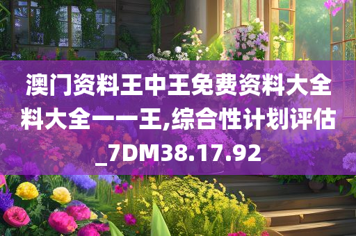 澳门资料王中王免费资料大全料大全一一王,综合性计划评估_7DM38.17.92