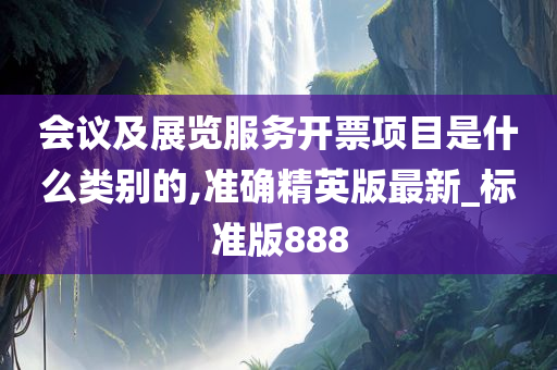 会议及展览服务开票项目是什么类别的,准确精英版最新_标准版888