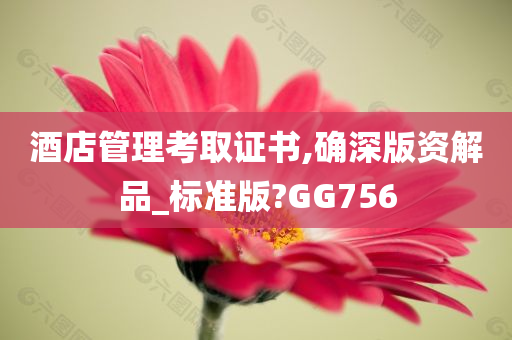 酒店管理考取证书,确深版资解品_标准版?GG756