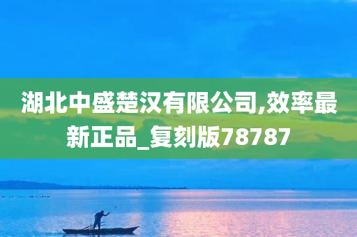 湖北中盛楚汉有限公司,效率最新正品_复刻版78787