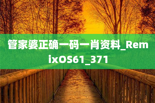 管家婆正确一码一肖资料_RemixOS61_371