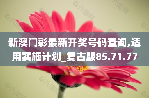 新澳门彩最新开奖号码查询,适用实施计划_复古版85.71.77