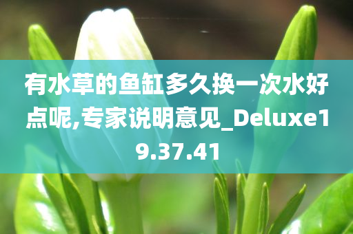 有水草的鱼缸多久换一次水好点呢,专家说明意见_Deluxe19.37.41