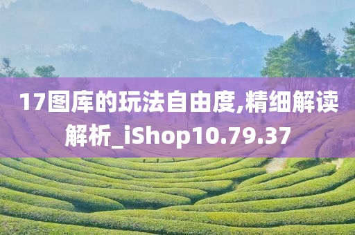 17图库的玩法自由度,精细解读解析_iShop10.79.37