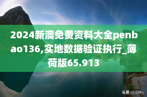 2024新澳免费资料大全penbao136,实地数据验证执行_薄荷版65.913