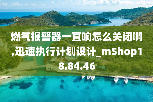 燃气报警器一直响怎么关闭啊,迅速执行计划设计_mShop18.84.46