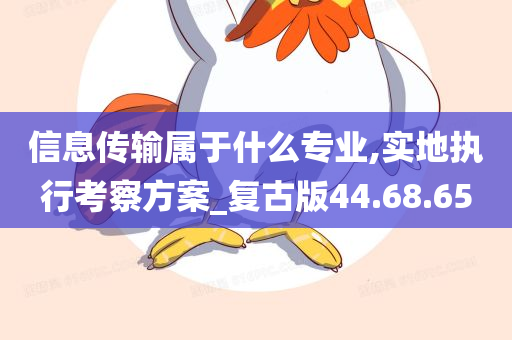 信息传输属于什么专业,实地执行考察方案_复古版44.68.65