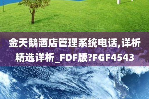 金天鹅酒店管理系统电话,详析精选详析_FDF版?FGF4543