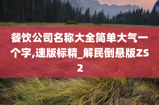 餐饮公司名称大全简单大气一个字,速版标精_解民倒悬版ZS2