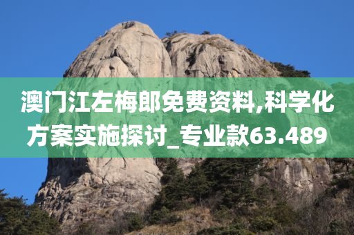 澳门江左梅郎免费资料,科学化方案实施探讨_专业款63.489