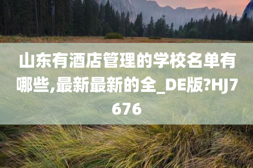 山东有酒店管理的学校名单有哪些,最新最新的全_DE版?HJ7676