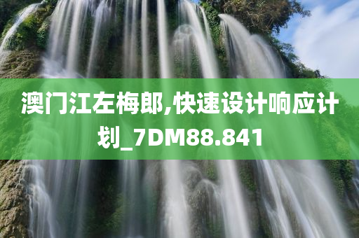 澳门江左梅郎,快速设计响应计划_7DM88.841