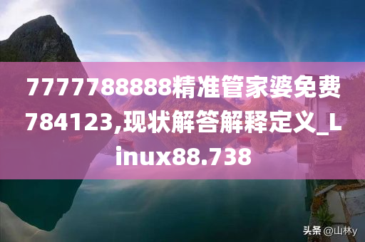 7777788888精准管家婆免费784123,现状解答解释定义_Linux88.738