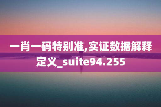 一肖一码特别准,实证数据解释定义_suite94.255