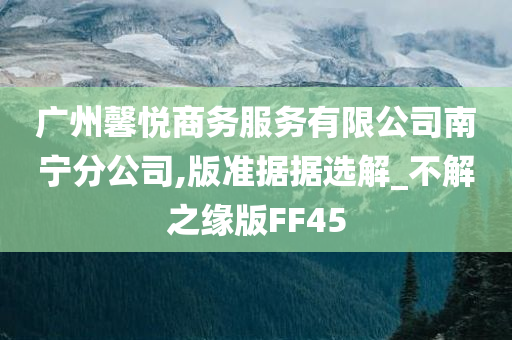 广州馨悦商务服务有限公司南宁分公司,版准据据选解_不解之缘版FF45