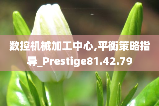 数控机械加工中心,平衡策略指导_Prestige81.42.79