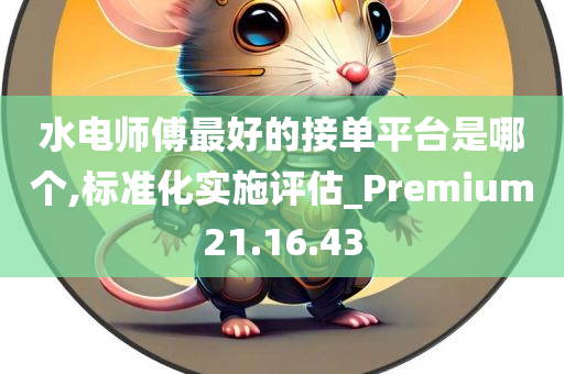 水电师傅最好的接单平台是哪个,标准化实施评估_Premium21.16.43