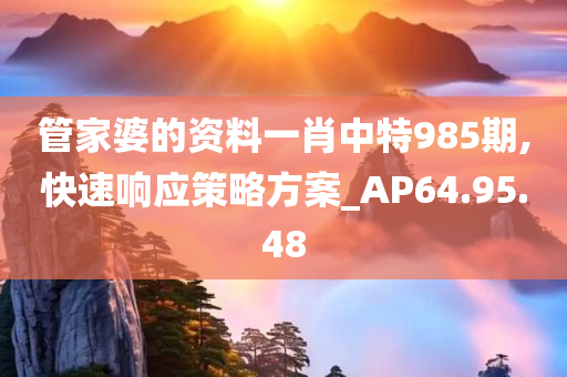 管家婆的资料一肖中特985期,快速响应策略方案_AP64.95.48