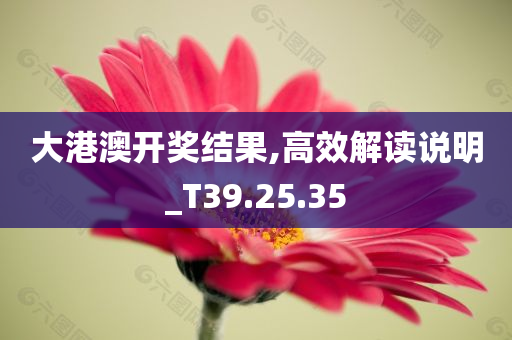 大港澳开奖结果,高效解读说明_T39.25.35