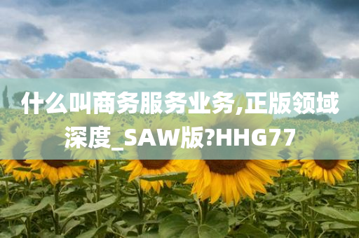 什么叫商务服务业务,正版领域深度_SAW版?HHG77