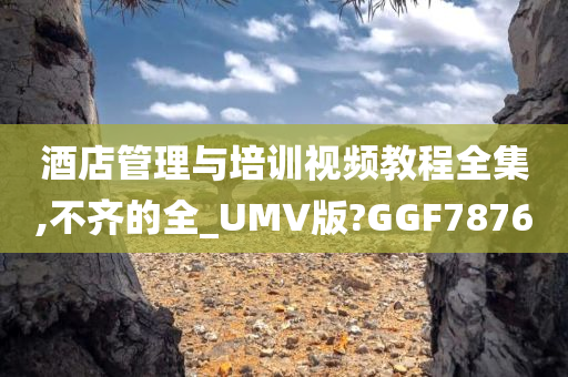 酒店管理与培训视频教程全集,不齐的全_UMV版?GGF7876