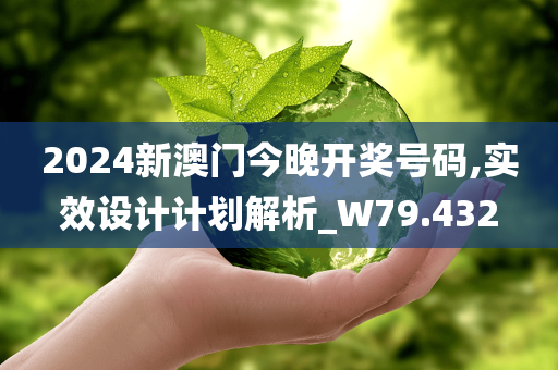 2024新澳门今晚开奖号码,实效设计计划解析_W79.432