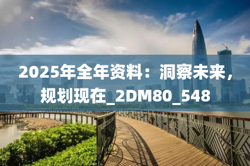 2025年全年资料：洞察未来，规划现在_2DM80_548