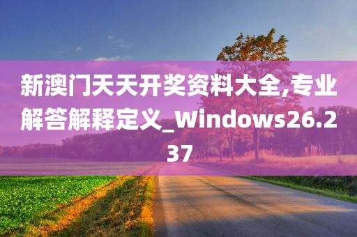 新澳门天天开奖资料大全,专业解答解释定义_Windows26.237