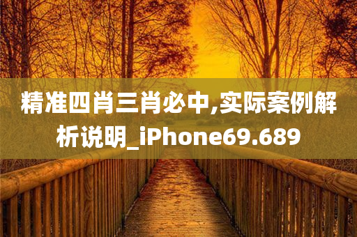 精准四肖三肖必中,实际案例解析说明_iPhone69.689