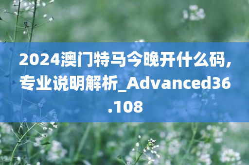 2024澳门特马今晚开什么码,专业说明解析_Advanced36.108