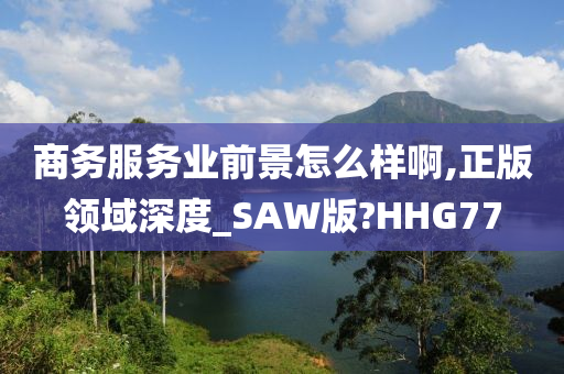 商务服务业前景怎么样啊,正版领域深度_SAW版?HHG77