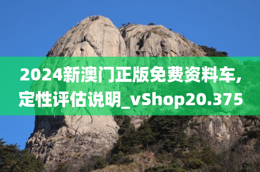 2024新澳门正版免费资料车,定性评估说明_vShop20.375