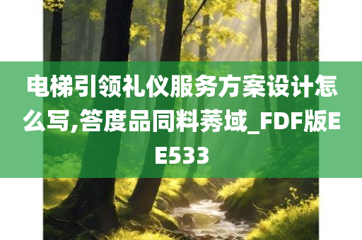 电梯引领礼仪服务方案设计怎么写,答度品同料莠域_FDF版EE533