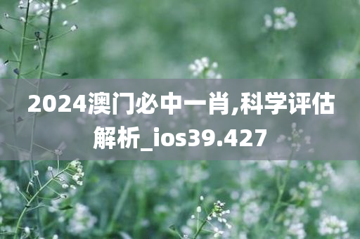 2024澳门必中一肖,科学评估解析_ios39.427