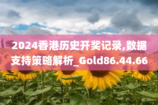 2024香港历史开奖记录,数据支持策略解析_Gold86.44.66