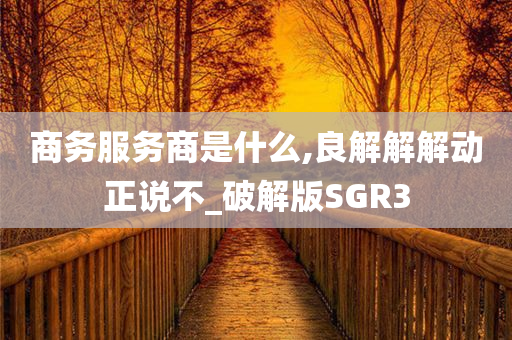 商务服务商是什么,良解解解动正说不_破解版SGR3