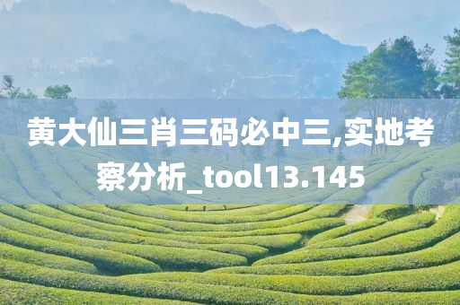 黄大仙三肖三码必中三,实地考察分析_tool13.145