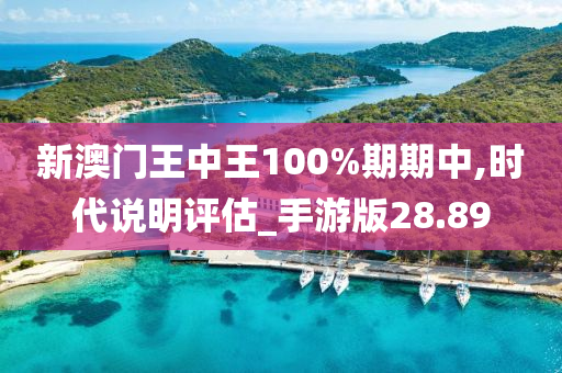 新澳门王中王100%期期中,时代说明评估_手游版28.89