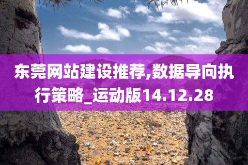 东莞网站建设推荐,数据导向执行策略_运动版14.12.28