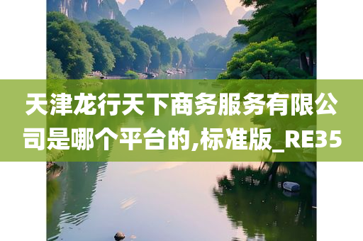 天津龙行天下商务服务有限公司是哪个平台的,标准版_RE35