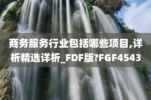 商务服务行业包括哪些项目,详析精选详析_FDF版?FGF4543