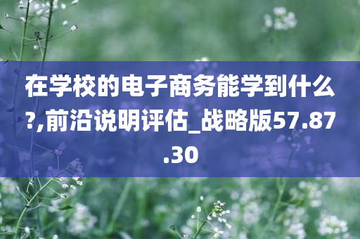 在学校的电子商务能学到什么?,前沿说明评估_战略版57.87.30