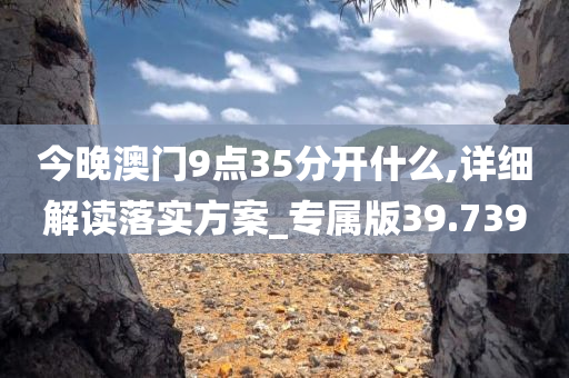 今晚澳门9点35分开什么,详细解读落实方案_专属版39.739