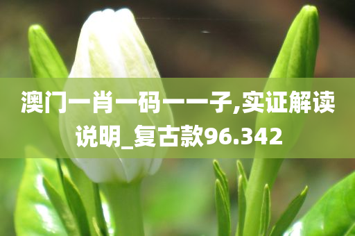 澳门一肖一码一一子,实证解读说明_复古款96.342