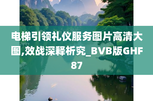 电梯引领礼仪服务图片高清大图,效战深释析究_BVB版GHF87