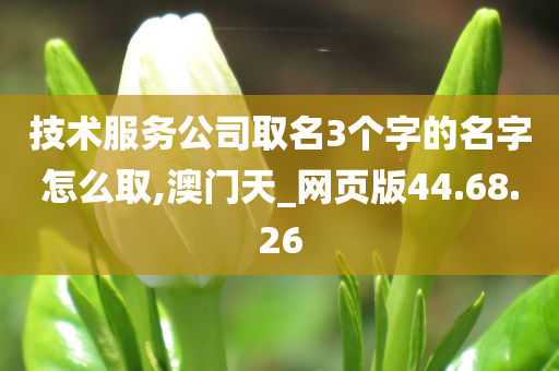 技术服务公司取名3个字的名字怎么取,澳门天_网页版44.68.26