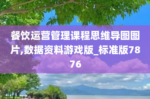 餐饮运营管理课程思维导图图片,数据资料游戏版_标准版7876