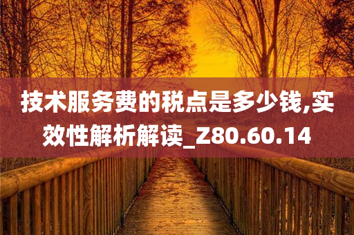 技术服务费的税点是多少钱,实效性解析解读_Z80.60.14